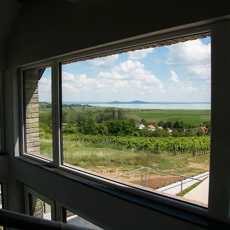 Panorama & Vino *